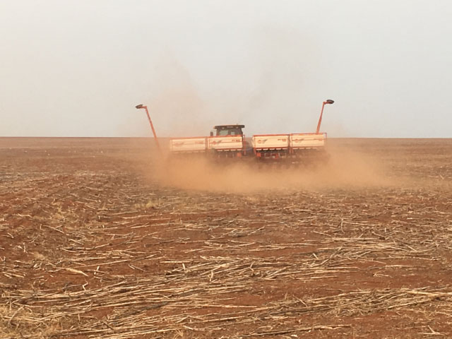 Brazilian farmers are planting soybeans on the dusty land before rain is forecast to arrive. (Photo courtesy of Ricardo Arioli Silva)